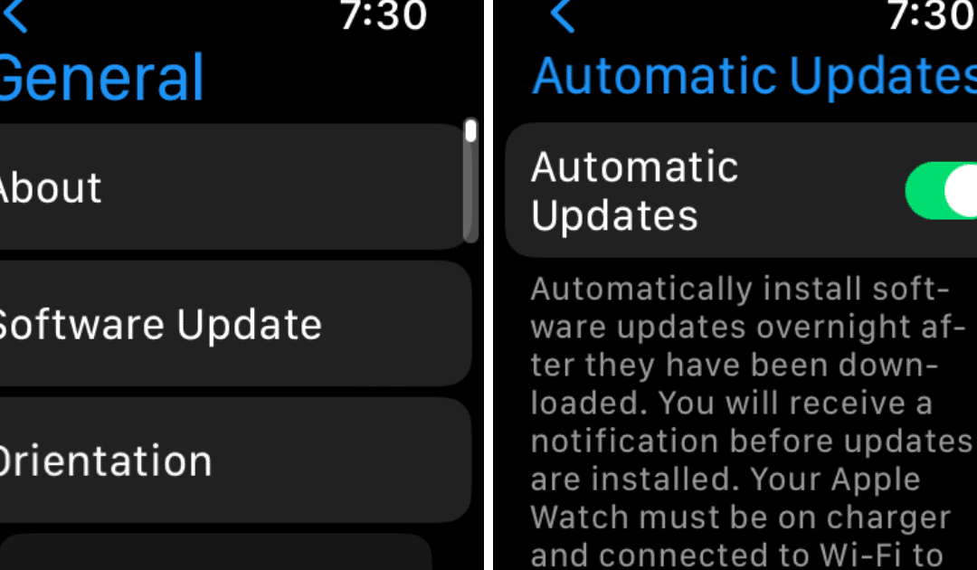 How to Update Apple Watch (With and Without iPhone)